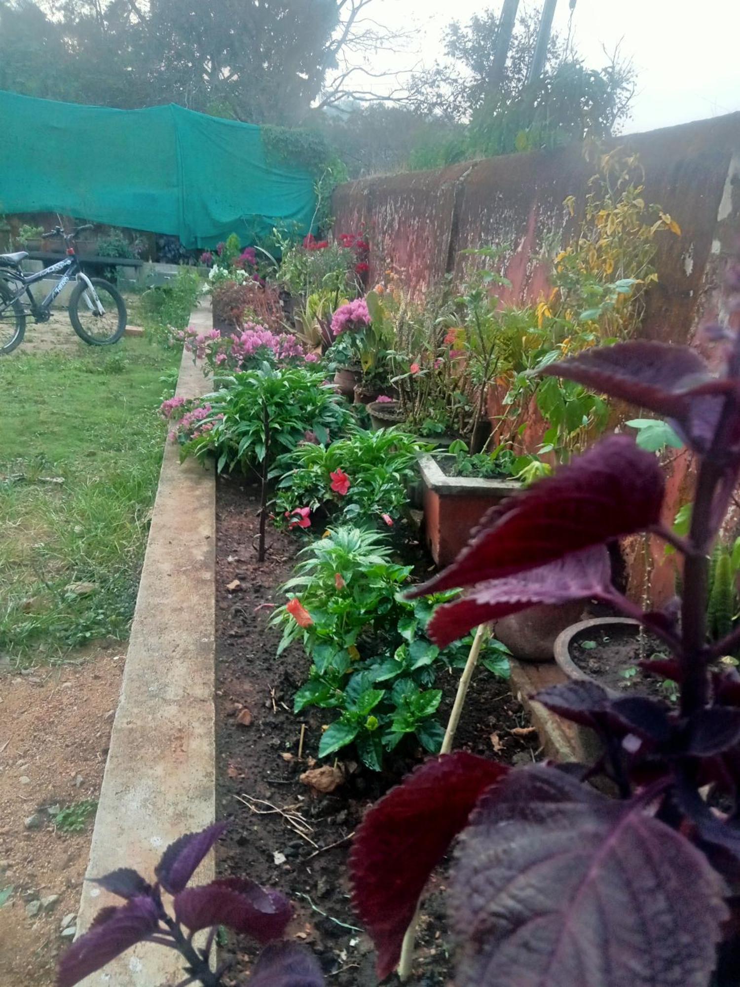 Eshwarkrupa Homestay Madikeri Zewnętrze zdjęcie