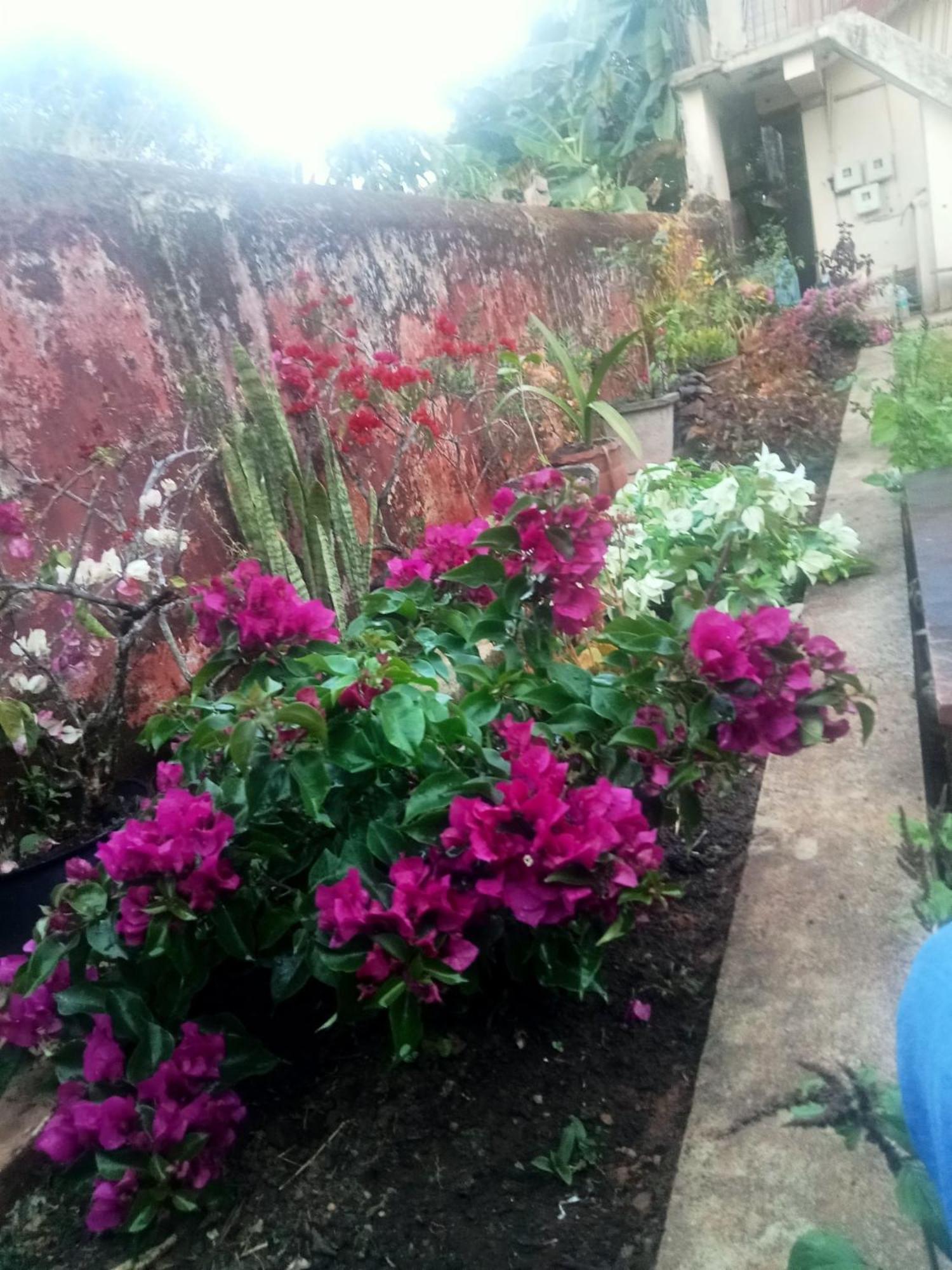 Eshwarkrupa Homestay Madikeri Zewnętrze zdjęcie